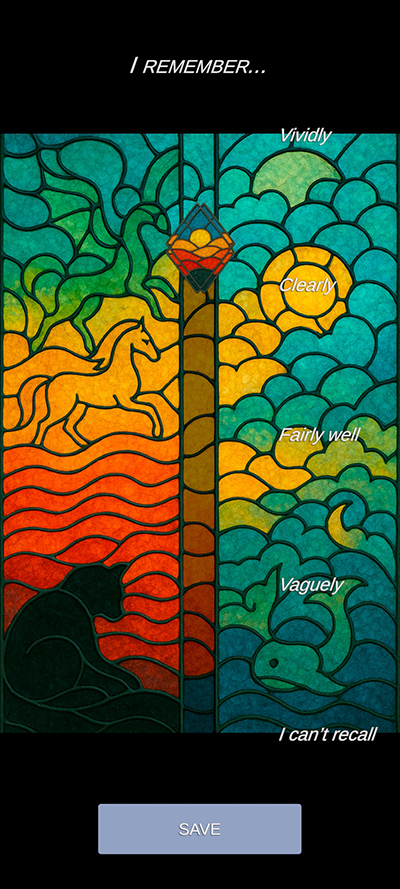 ReverySky recall screen